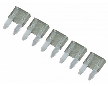 2 Amp Mini Blade Fuses (5 Per Pack)
